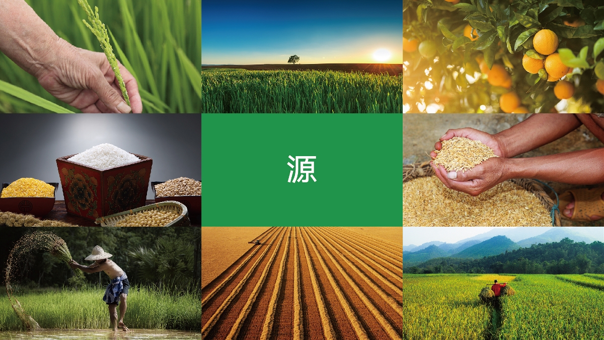 農(nóng)產(chǎn)品品牌設(shè)計(jì)技巧有哪些？怎樣塑造品牌形象