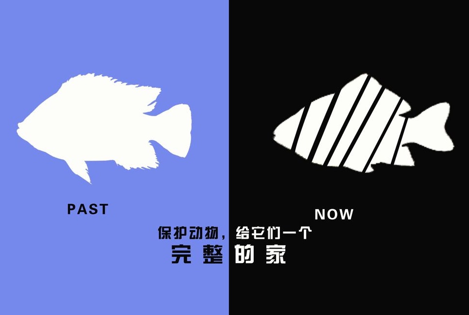 廣告設(shè)計(jì)制作有哪些要求？有哪些注意事項(xiàng)？