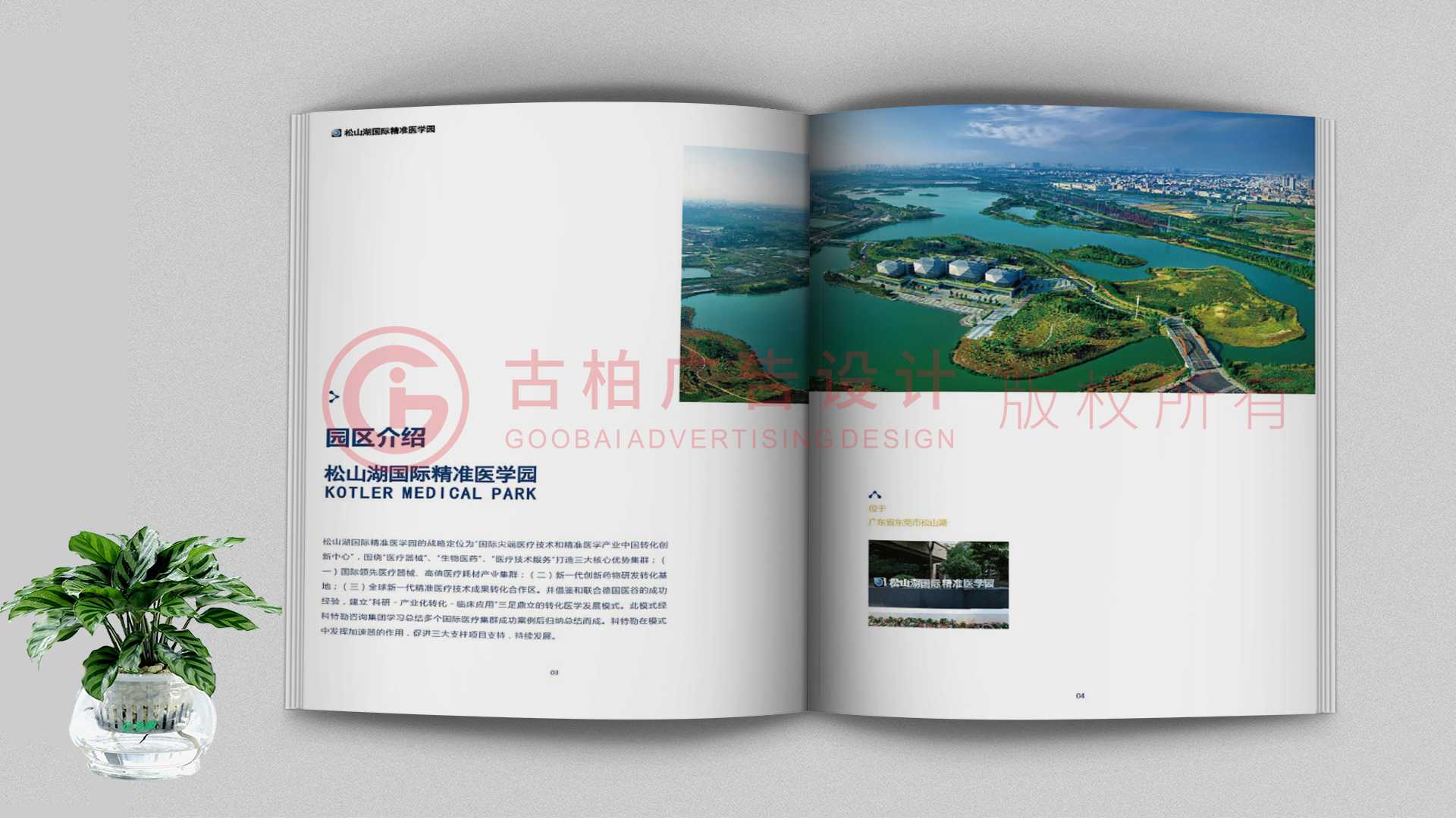 一本聚會紀(jì)念冊該如何通過排版來提升整體的美觀性？