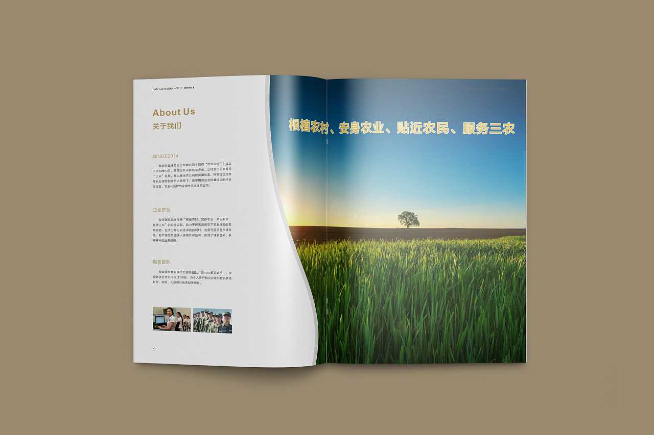 成都企業(yè)為什么要選擇高端宣傳冊(cè)設(shè)計(jì)公司呢？
