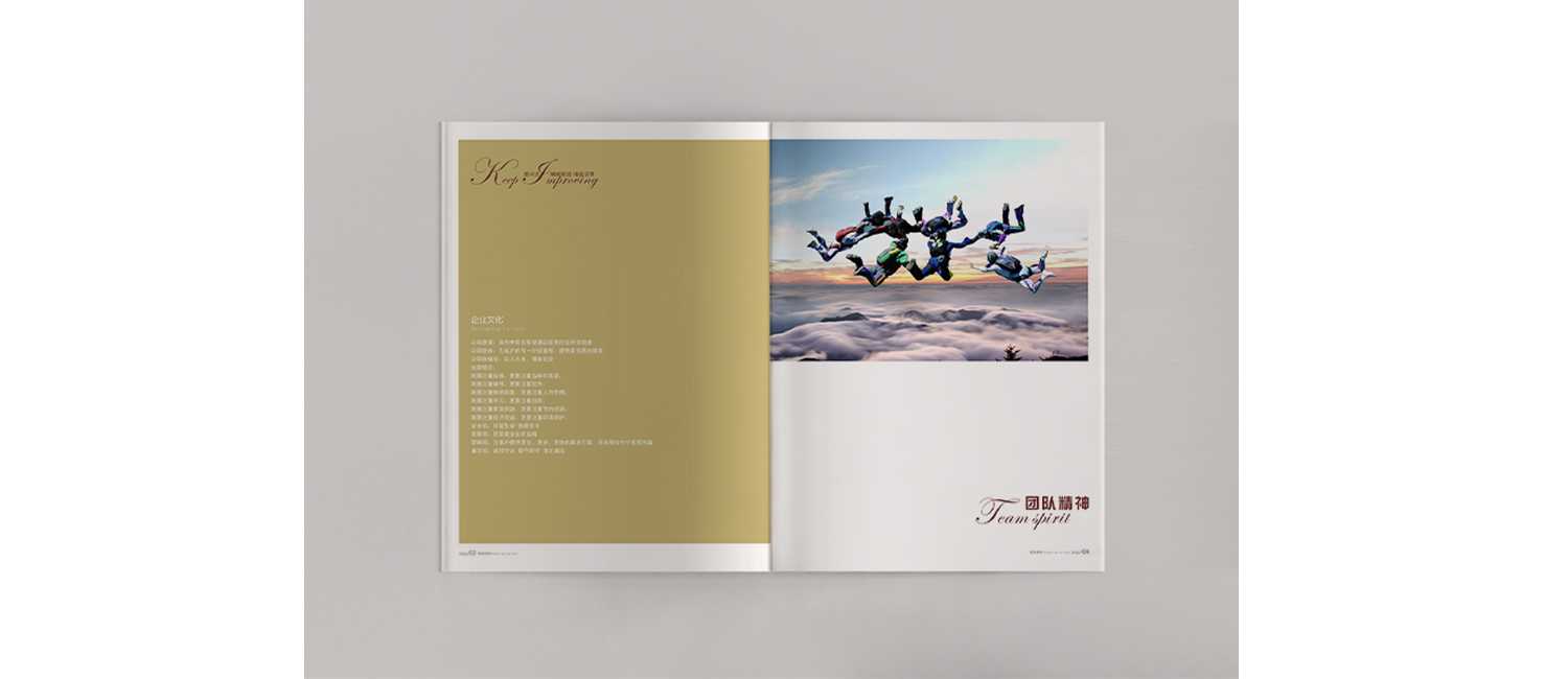畫(huà)冊(cè)設(shè)計(jì)應(yīng)該需要怎么的設(shè)計(jì)理念？