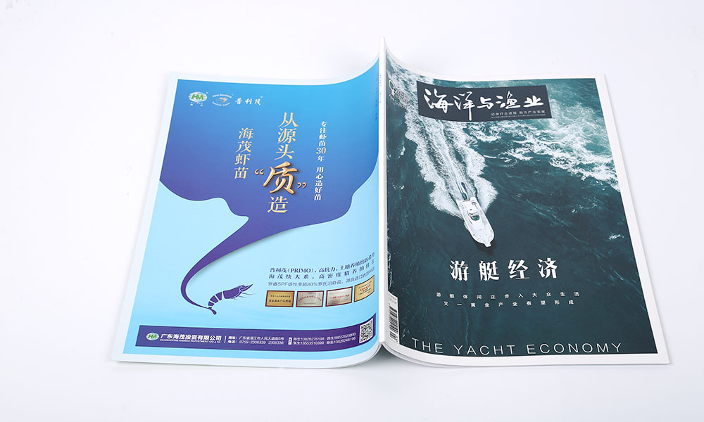 一個畫冊設(shè)計如何？